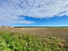 Authentique Briarde de charme rénovée – 170 m² habitables sur 1300 m² de terrain 
