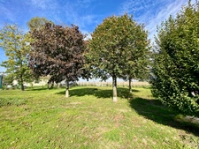 Authentique Briarde de charme rénovée – 170 m² habitables sur 1300 m² de terrain 