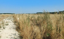 Terrain à vendre   (16) Viabilisé de 853 m2