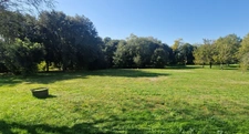 Grande maison à vendre 5 pièces FOUQUEBRUNE (16) + dépendances sur terrain d'env 6800 m2
