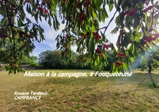 Grande maison à vendre 5 pièces FOUQUEBRUNE (16) + dépendances sur terrain d'env 6800 m2