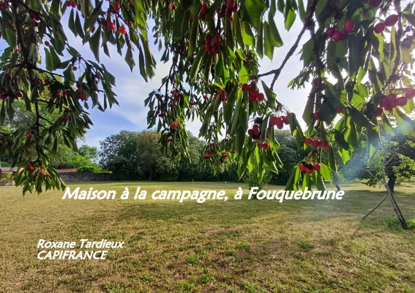 Grande maison à vendre 5 pièces FOUQUEBRUNE (16) + dépendances sur terrain d'env 6800 m2