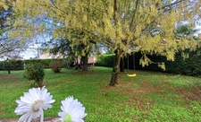 Maison à vendre 4 pièces proche de ANGOULEME (16) à Voeuil. 3 chambres, 1 garage. Terrain