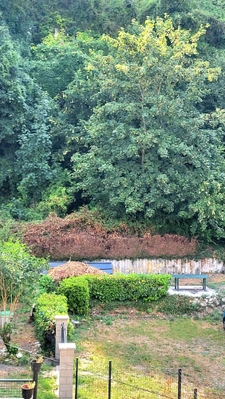 Elbeuf proche Seine : Appt 80 m² avec jardin 80 m², 2 CH et PK intérieurs ... Prix attractif !