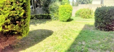 Rouen-Préfecture : Appartement (1er E) rénové 81 m² avec 2 CH, cave et vue sur jardin (poss Gge) ...!
