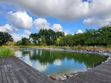 Maison de plain-pied à QUEMPERVEN (22450), piscine naturelle et verger ! 