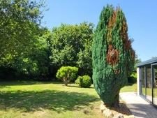 Ensemble immobilier de charme en pierre PLUZUNET, 170 m2, 5 chambres 