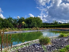 Maison de plain-pied à QUEMPERVEN (22450), piscine naturelle et verger ! 