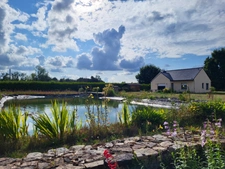 Maison de plain-pied à QUEMPERVEN (22450), piscine naturelle et verger ! 