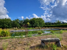 Maison de plain-pied à QUEMPERVEN (22450), piscine naturelle et verger ! 