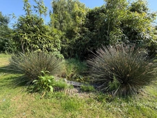 SEMI PLAIN-PIED INDIVIDUEL, 6 CHAMBRES, SOUS/SOL, JARDIN