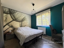 SEMI PLAIN-PIED INDIVIDUEL, 6 CHAMBRES, SOUS/SOL, JARDIN