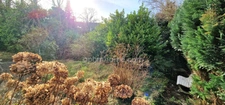 A vendre-Bretagne-Finistère-Douarnenez-Maison-6 pièces-sous-sol-garage-jardin