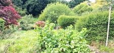 A vendre-Douarnenez-Maison-7 pièces-garage-jardin