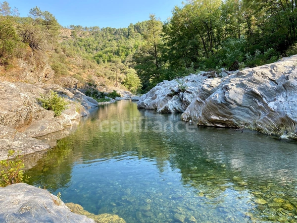 Dpt Gard (30), à vendre proche de BARJAC, aux portes de l'Ardèche, ancien Mas avec gîtes de 350 m² - Terrain de 5 000 m² avec piscine