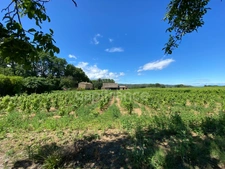 Dpt Gard (30), à vendre dans le Gard, propriété viticole en AOP Côtes du Rhône sur 25 hectares avec Château du XVème siècle.