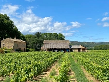 Dpt Gard (30), à vendre dans le Gard, propriété viticole en AOP Côtes du Rhône sur 25 hectares avec Château du XVème siècle.