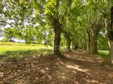 Dpt Gard (30), à vendre dans le Gard, propriété viticole en AOP Côtes du Rhône sur 25 hectares avec Château du XVème siècle.