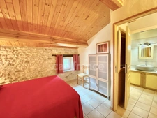 Dpt Gard (30), à vendre proche de BARJAC, aux portes de l'Ardèche, ancien Mas avec gîtes de 350 m² - Terrain de 5 000 m² avec piscine