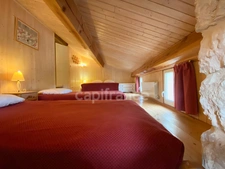 Dpt Gard (30), à vendre proche de BARJAC, aux portes de l'Ardèche, ancien Mas avec gîtes de 350 m² - Terrain de 5 000 m² avec piscine