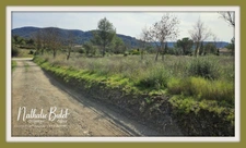 Terrain à vendre de 2 000 m² PIERRERUE (34)