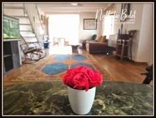 MAISON DE CHARME RÉNOVÉE – 86 M² HABITABLES – JARDIN CLOS – TERRASSE – CALME ABSOLU – PARDAILHAN à 15 min de SAINT CHINIAN