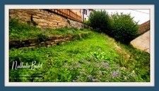 Appartement à vendre PLOMBIERES LES BAINS (88)