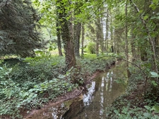 DEMEURE DE CARACTÈRE AVEC DEPENDANCES ET PARC ARBORÉ