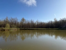 CHALET MODERNE DE PLAIN PIED ET SON PARC DE 6 000M2 AVEC ETANG