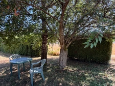 CONFORTABLE CHALET SUR GRAND PARC ARBORÉ
