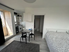 Appartement à vendre 1 pièces MAISONS ALFORT (94)