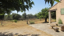 Maison à vendre 5 pièces LORIOL DU COMTAT (84)