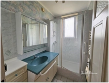 Maison à vendre 8 pièces de 195m² CHATEL SUR MOSELLE (88), situé su un terrain de 620m².