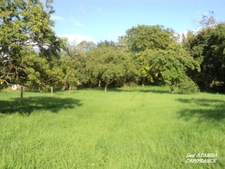 Dpt Vosges (88), à vendre à Domèvre sur Durbion, à 6km de THAON LES VOSGES, terrain constructible de 850m².