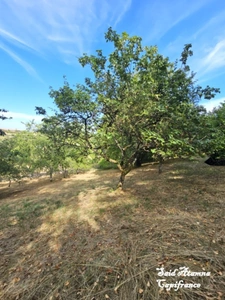 Maison de campagne à vendre 4 pièces de 103m² BOUXIERES AUX BOIS (88)