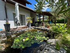 brison st innocent maison  5 pièces (2005)  150 m2 habitable sur magnifique terrain de 1229 m2
