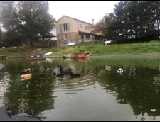 Propriete/Gites 7 hectares, Proche de THENON (24)