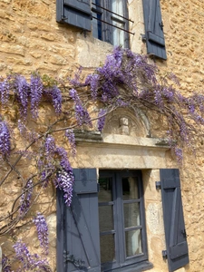 Superbe propriété à vendre 9 pièces Proche de VERGT et SAINTE ALVERE (24)