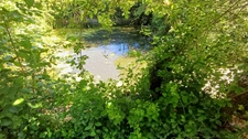 Propriete/Gites 6 hectares, Proche de THENON (24)