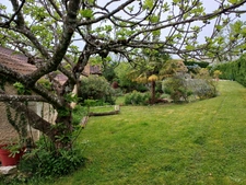 Bel ensemble immobilier avec 1 gite ou maison d'amis, piscine, au calme et sans vis à vis