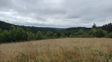 Propriete à vendre 6 pièces Proche de PLAZAC 12ha