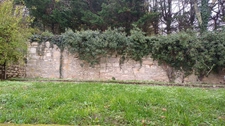 Maison à vendre 9 pièces SAVIGNAC LES EGLISES (24)