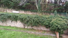 Maison à vendre 9 pièces SAVIGNAC LES EGLISES (24)