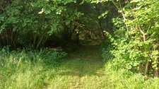 Propriete/Gites 6 hectares, Proche de THENON (24)