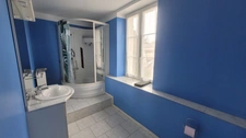 LE GRAND PRESSIGNY (Sud 37), belle maison de caractère composée de 3 logements indépendants et offrant 259 m² habitables pour 11 pièces, sur un terrain arboré d'environ 7 360 m².