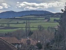 Terrain à vendre de 453,00 m² TALLENDE (63)