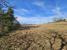 Terrains de 3092 m2 dont 1573m2 à bâtir