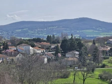 Terrain à vendre de 3 479,00 m² SAINT MAURICE (63)