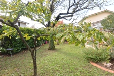 Dpt Drôme (26), à vendre ROMANS SUR ISERE maison P6 de 93m2 + 38m2