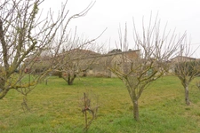 Dpt Drôme (26), à vendre ALIXAN ancienne ferme  P7   